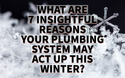 WHAT ARE 7 INSIGHTFUL REASONS YOUR PLUMBING SYSTEM MAY ACT UP THIS WINTER? 